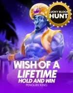 Wish of a Lifetime Hold & Win