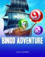 Bingo Adventure
